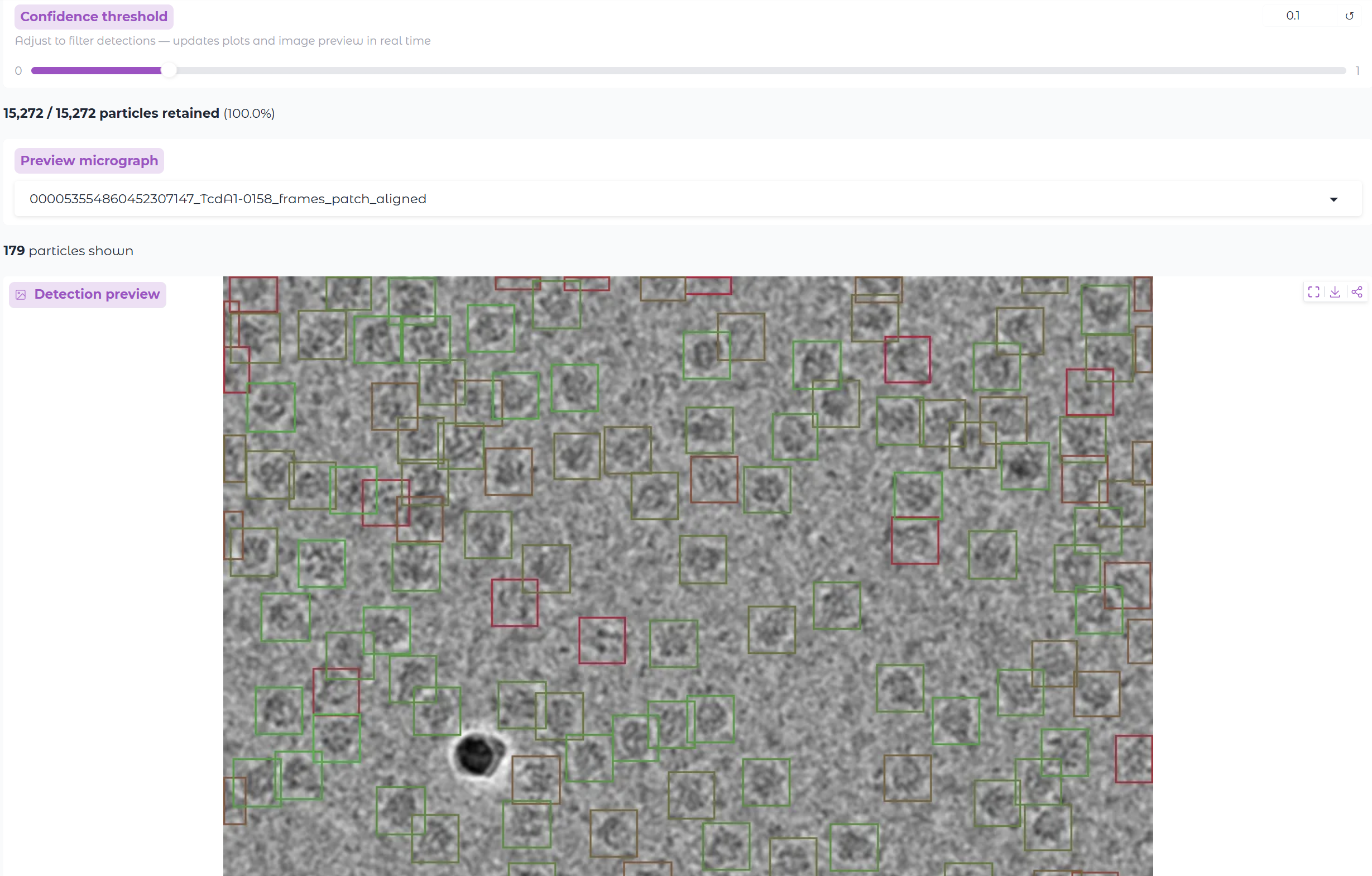 Micrograph preview with confidence-coloured detection boxes
