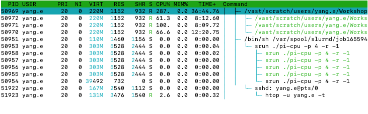 processes associated with pi-cpu after requesting more CPUs from Slurm